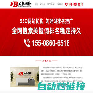 大标网络丨专业SEO优化公司-网站SEO优化-关键词排名推广